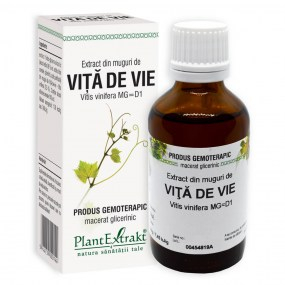 Extract din muguri de vita de vie 50ml - Plantextrakt [1]