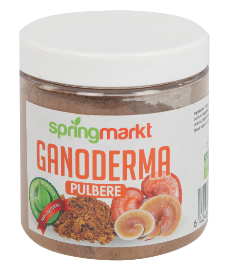 Ganoderma pulbere ecologica 50gr - Springmarkt [1]