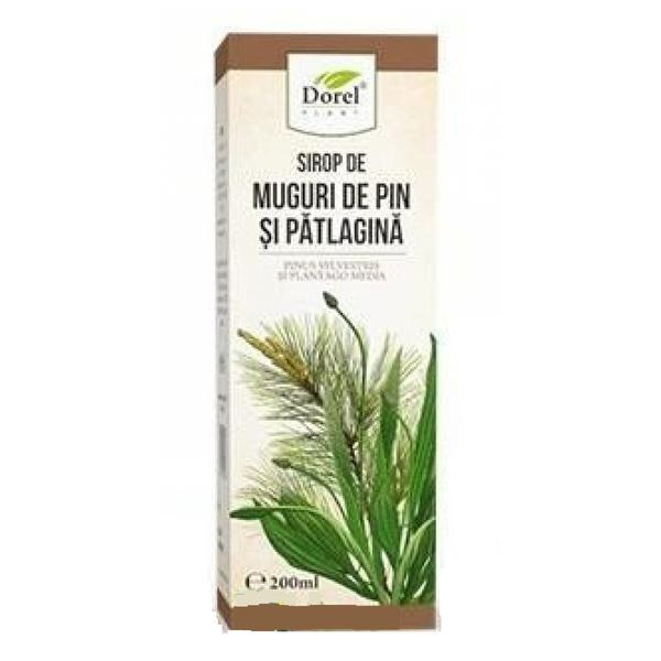 Sirop muguri pin&patlagina 200ml - Dorel Plant [1]