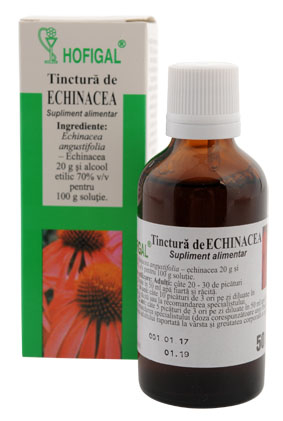 Tinctura echinacea 50ml - Hofigal [1]