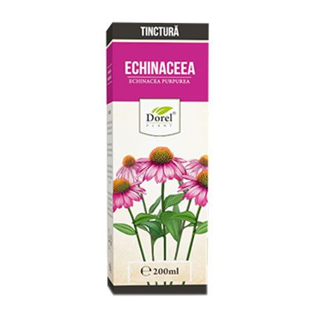 Tinctura echinaceea purpureea 200ml - Dorel Plant [1]