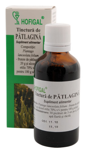 Tinctura patlagina 50ml - Hofigal [1]