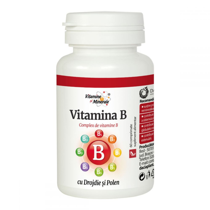 Vitamina b cu drojdie si polen 60cpr - Dacia Plant [1]