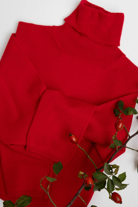 Hermina Водолазка Женская Высокии Воротник Roll ML132 [4]