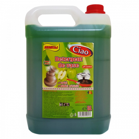 Curatenie si Protocol - Detergent Vase 5L Aroma Mar