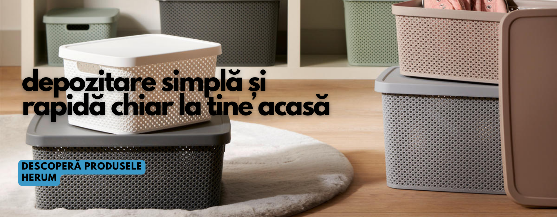 Organizare și depozitare