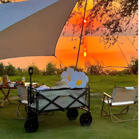 Carucior pliabil cu maner ajustabil, cadru metalic, compartiment din panza poliester impermeabila, 2 compartimente pentru sticle, Bej, 72 x 46 x 62-87 cm [4]