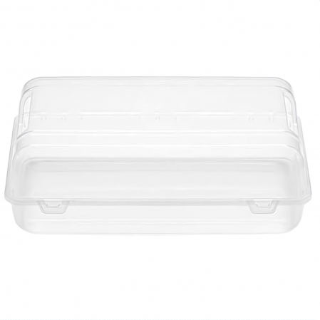 Cutie de depozitare din plastic pentru incaltaminte, Transparent, 36 x 21 x 12 cm [1]