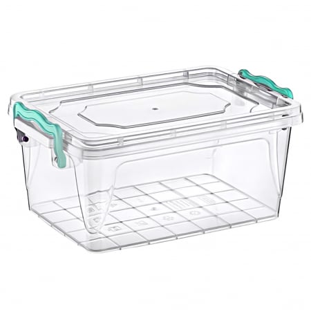 Cutii - Cutie de plastic cu capac pentru depozitare, Transparent, 3 litri