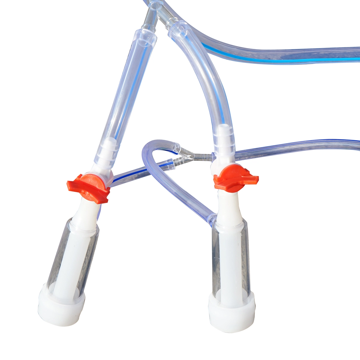 Aparat de muls oi si capre 1 post 550W, 220V bidon inox 25L, grup de muls cu 2 mansoane, presiune vid 45-50 kPa, pulsatii 60-80 cpm (DISPL11) [5]