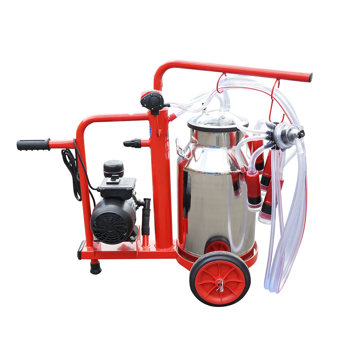 Aparat de muls vaci 1 post bidon 40L inox cu vid in cadru, vacuum DISDT47 (BK98078) [4]