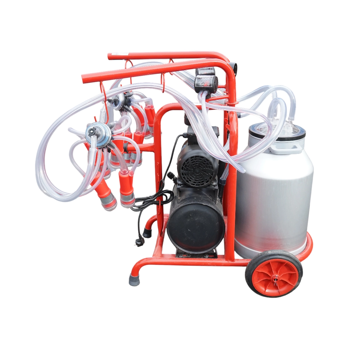 Aparat de muls vaci cu 2 posturi, bidon aluminiu 40L, rezervor vid si pompa uscata DISGF41 (BK98560) [5]