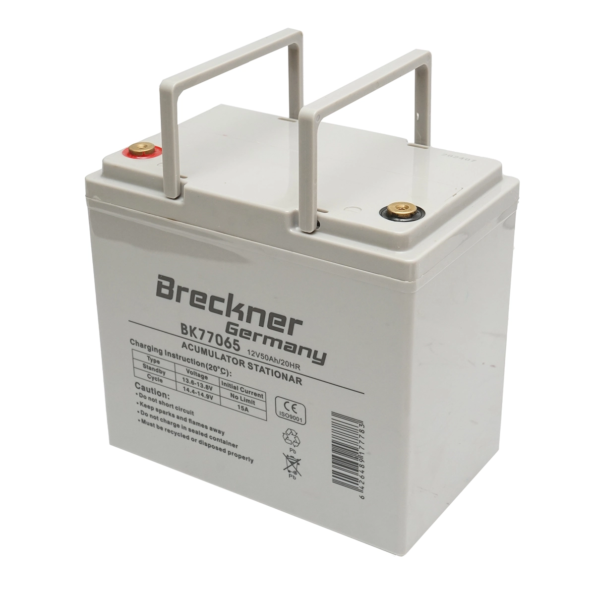 Baterie sistem solar cu gel 12V 50Ah 20HR 242x148x240mm FCG12-50 Breckner Germany DISEH06 (BK77065) [3]