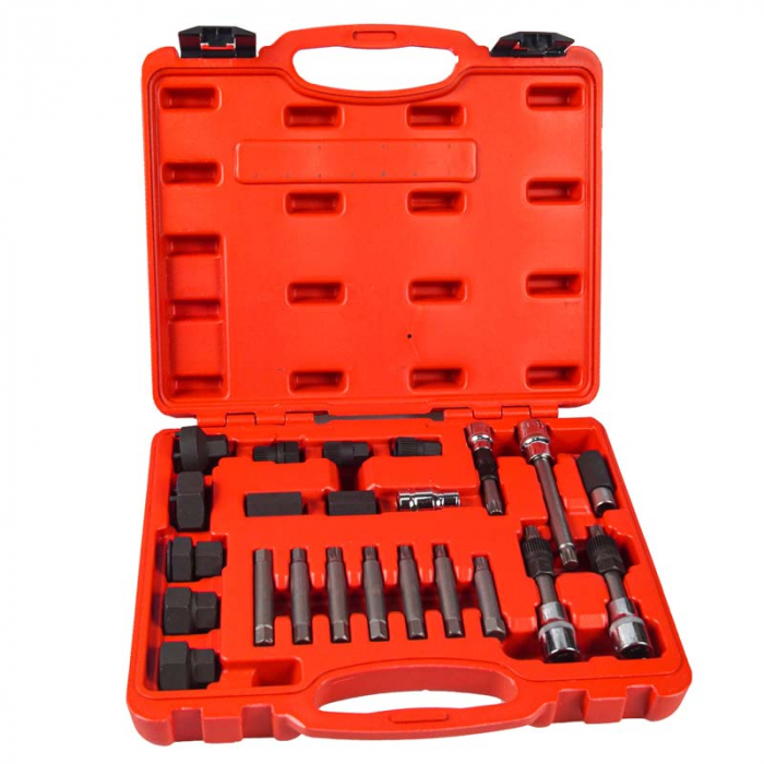 Trusa set montare demontare fulie alternator 25 piese (14026) [2]