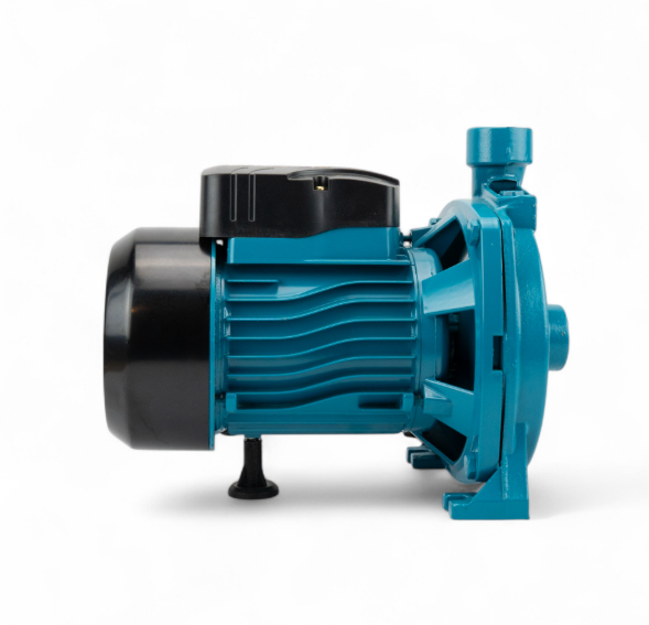 Pompa apa curata suprafata 1000W 1" Lazio mare CPM-158 (BRM01036) [1]