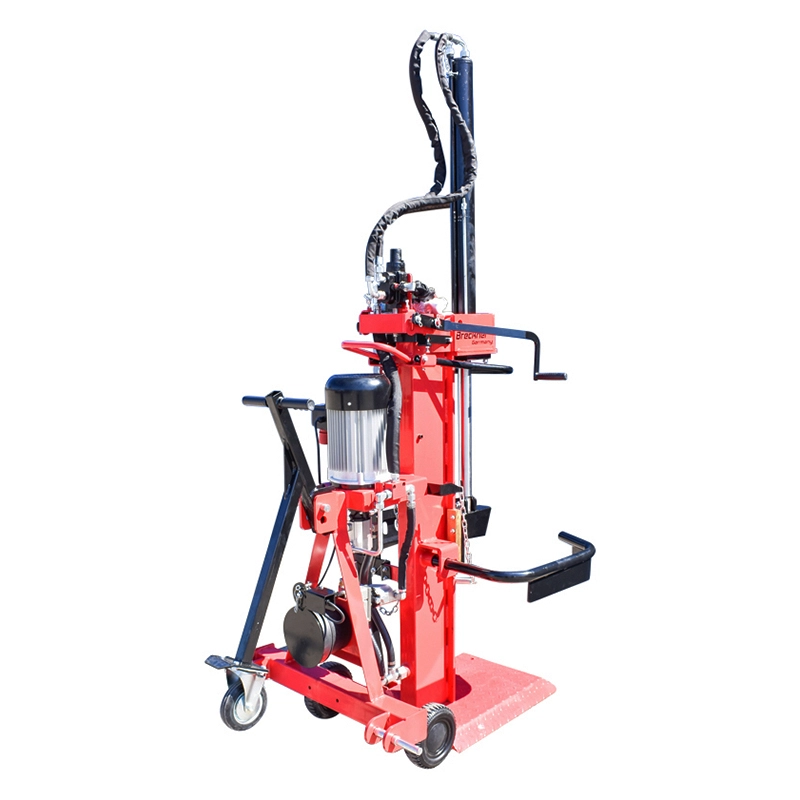 Despicator lemne vertical 20T PTO 380V 5,5KW DISTC06 (BK98365) [4]