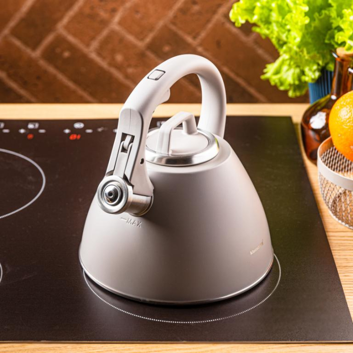 Fierbator apa 2.5L din inox culoare bej mat cu fluier si maner soft touch (KB-7953) [5]