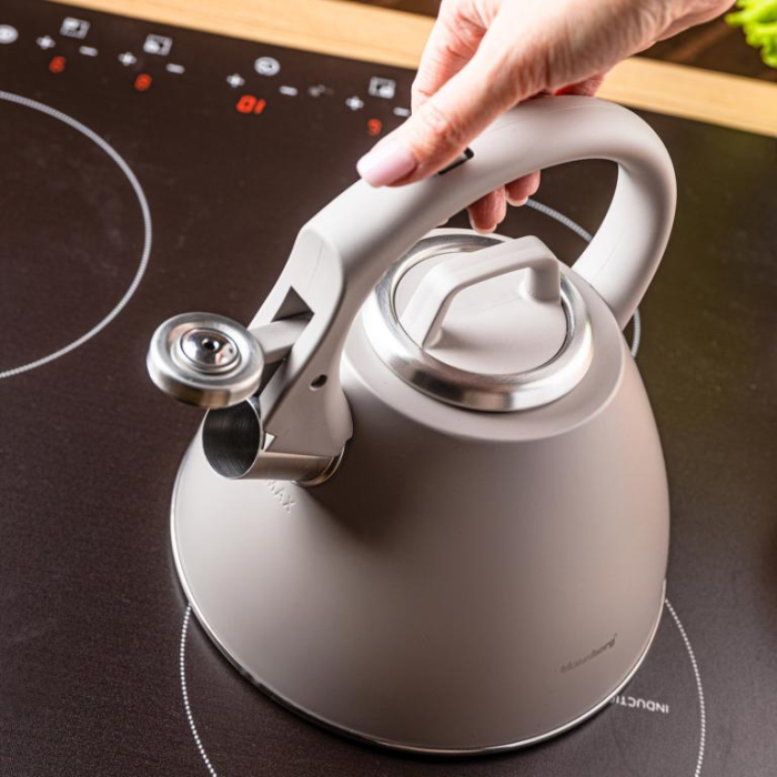 Fierbator apa 2.5L din inox culoare bej mat cu fluier si maner soft touch (KB-7953) [17]