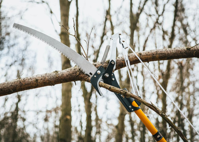 Foarfeca telescopica si ferastrau de gradina 2 in 1 lungime 2.4m  PM0963 (PM-SKTT-2.4T) [11]