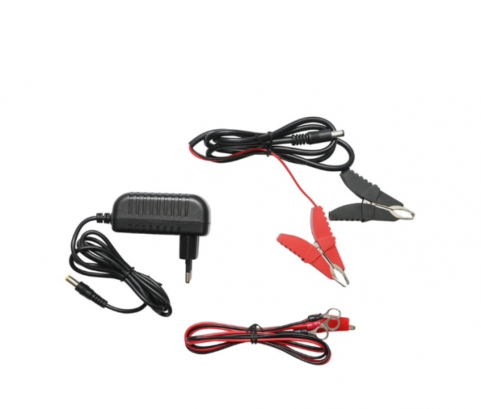 Kit pachet gard electric 3 Joule 12 220V fir 1000m 100 izolatori + accesorii (BK87634-1000-04-01) [15]