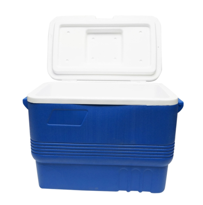 Lada frigorifica pentru picnic 45L albastra 610x330x420mm DISDG08 (BK90333) [4]