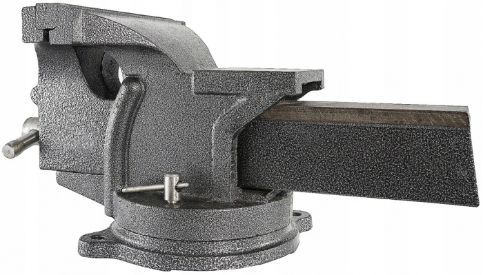 Menghina banc rotativa 200mm cu nicovala (V88003) [2]
