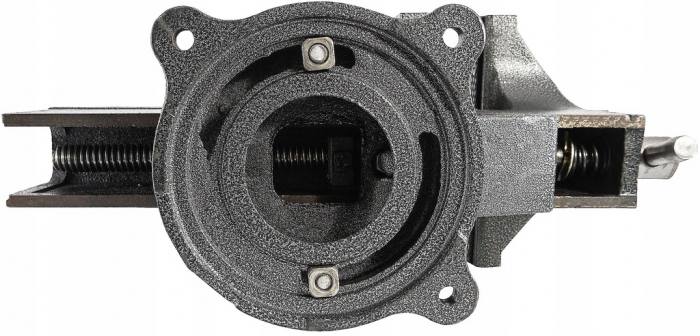 Menghina banc rotativa 200mm cu nicovala (V88003) [9]