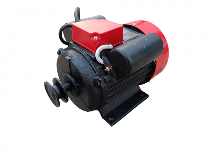 Motor electric 0.75kW 230V 3000rpm Y801-2 (PC13179) [2]