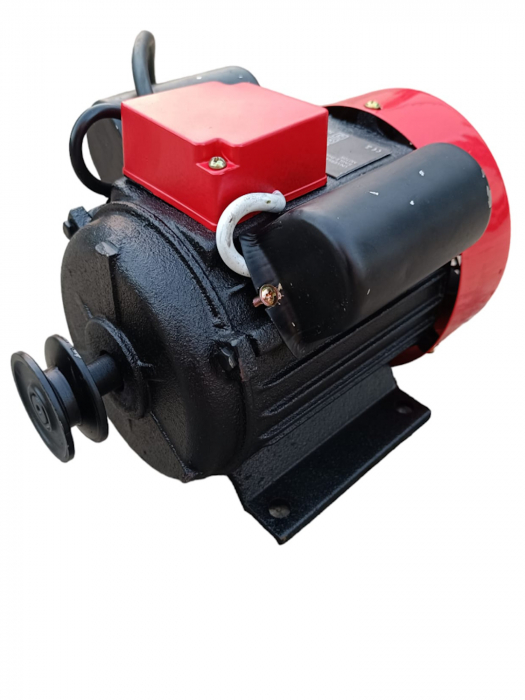 Motor electric 0.75kW 230V 3000rpm Y801-2 (PC13179) [1]