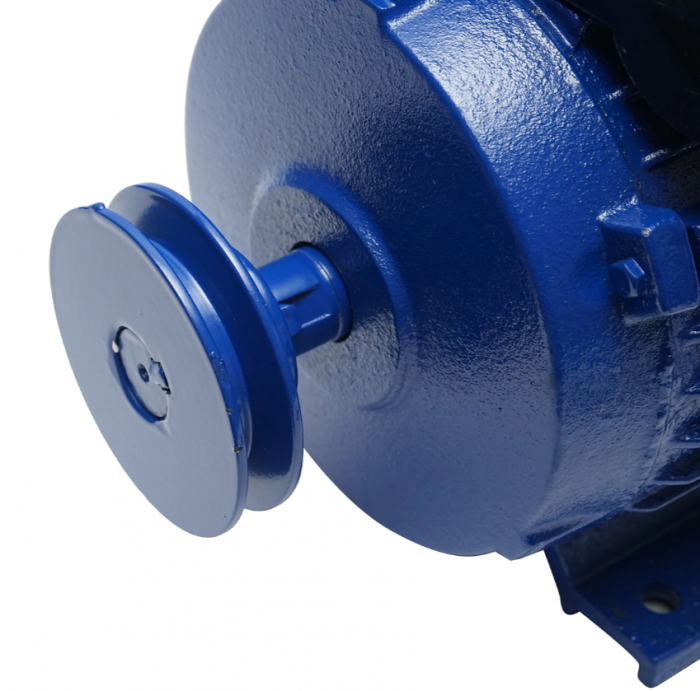 Motor electric 3kW monofazat 220V 1400rpm (DISPK65) [6]
