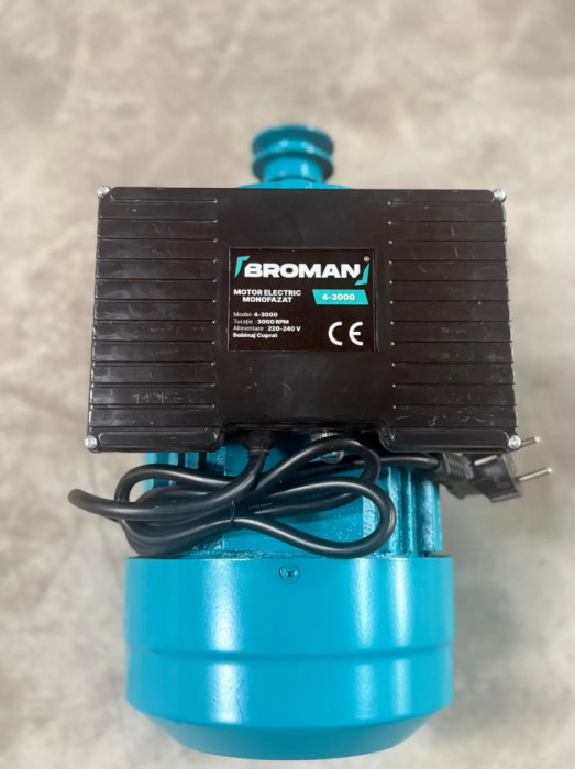 Motor electric 4kW 4000W monofazat 220V 3000rpm (BRM02507) [3]