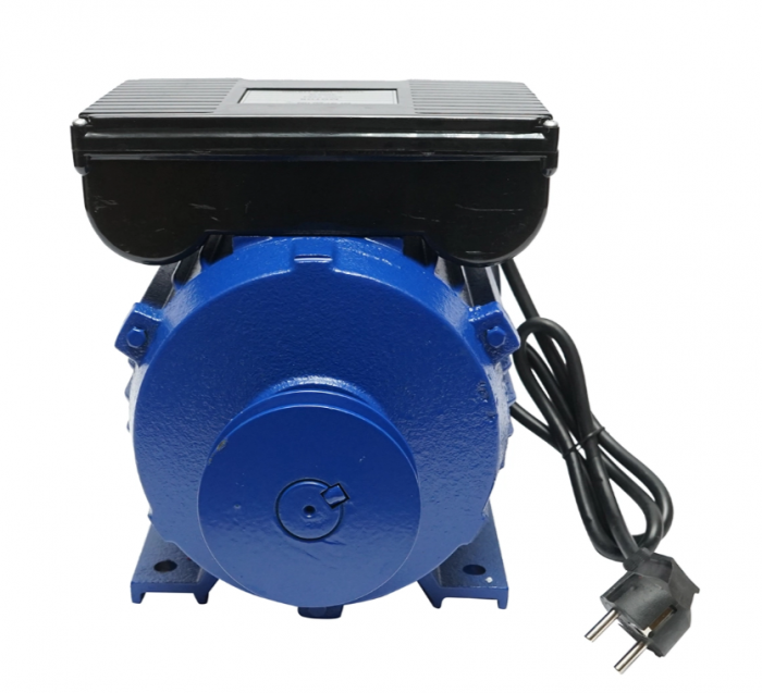 Motor electric 4kW monofazat 220V 3000rpm (DISPK64) [3]