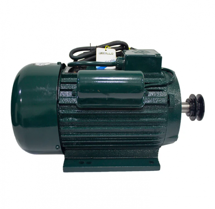 Motor electric 4kW monofazat 220V 3000rpm (MEC-430) [2]