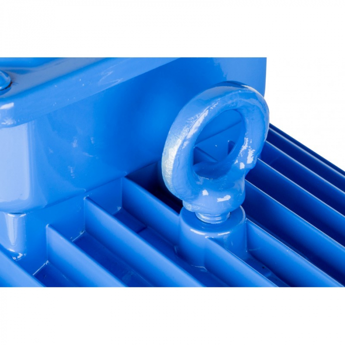 Motor electric 7kW trifazat 380V 400V 2850rpm trifazic (S1007-28) [8]