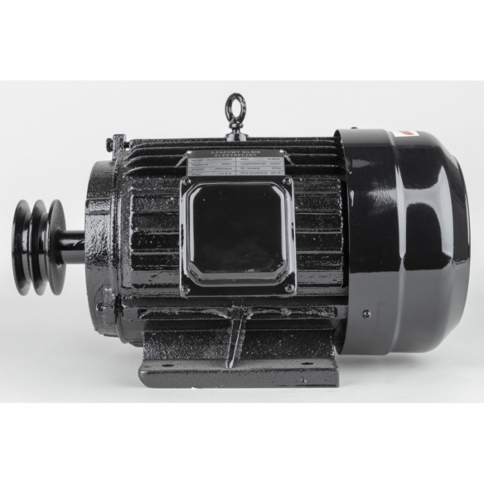 Motor electric 9.5kW trifazat 380V 400V 2850rpm trifazic (ALC300-3-400V) [6]