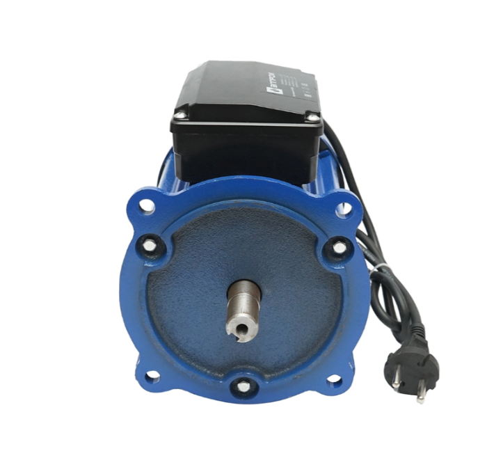 Motor electric monofazat 1100W 220V 3900rpm ax 19mm pentru utilaje si ateliere (DISLP90) [3]
