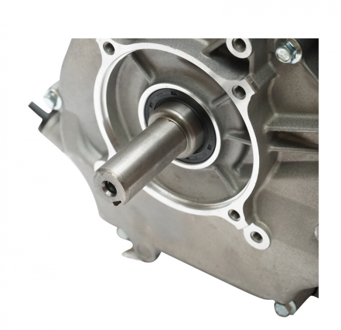 Motor pe benzina 13CP + fulie dubla ax cu pana 25mm + ulei 4 timpi DISGM23 (BK19819+F+U) [7]