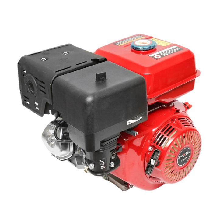Motor pe benzina 4 timpi 13CP ax cu pana 25mm DISFB99 (BK98455) [5]