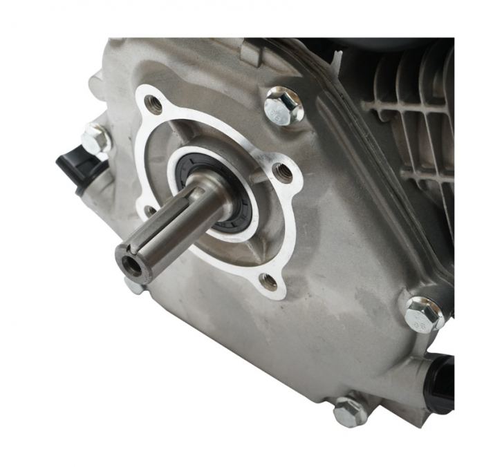 Motor pe benzina 7.5CP + fulie ax cu pana 20mm + ulei 4 timpi DISFB96 (BK19816+F+U) [7]