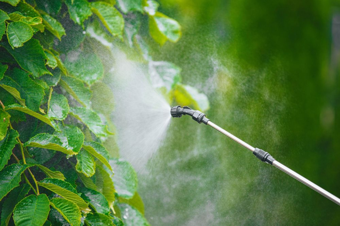 Pompa de stropit electrica 20 Litri, lance telescopica, set 4 duze si garnituri (RTOA0109) [14]