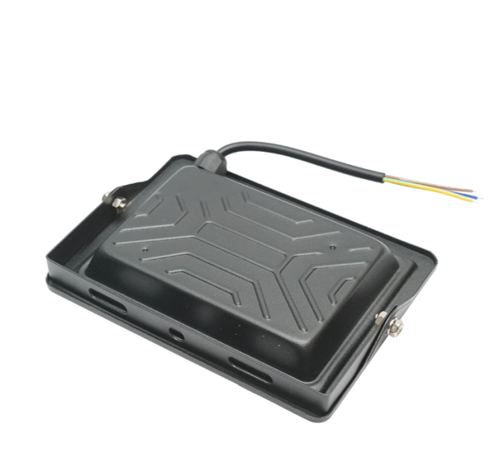 Proiector LED 30W, 220V, 6500K, 160x120x28mm IP66 DISPG68 (BK79646) [3]