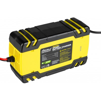 Redresor microprocesor cu functie de regenerare 12v/24v (AS3096) [15]