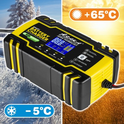 Redresor microprocesor cu functie de regenerare 12v/24v (AS3096) [5]