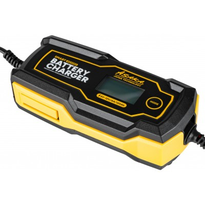 Redresor microprocesor pentru baterii 1,2-120ah 6v/12v (AS3095) [13]