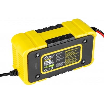 Redresor microprocesor pentru baterii 4-120ah 12v (AS3097) [15]
