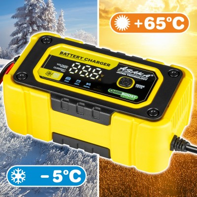 Redresor microprocesor pentru baterii 4-120ah 12v (AS3097) [9]