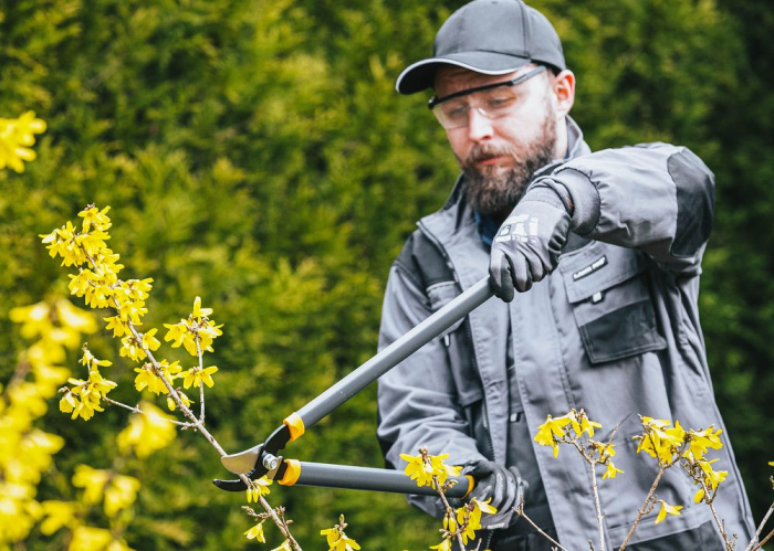 Set 3 foarfece gradinarit pentru crengi, gard viu si pomi, otel rezistent PM0986 (PM-ZNDZ-3T) [14]