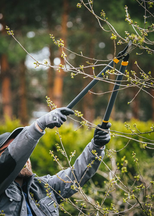 Set 3 foarfece gradinarit pentru crengi, gard viu si pomi, otel rezistent PM0986 (PM-ZNDZ-3T) [13]