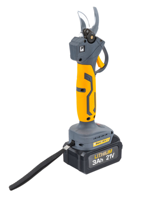 Set foarfeca si fierastrau cu acumulator 21V cu extensie telescopica 130-200 cm PM1644 (PM-PSWA-21V-3M) [9]