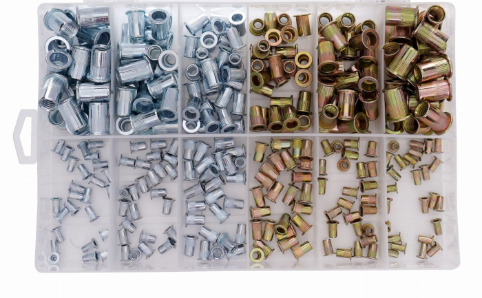 Set piulite nituibile 300 buc M3-M10 (KD10486) [2]